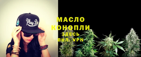 сатива Осташков