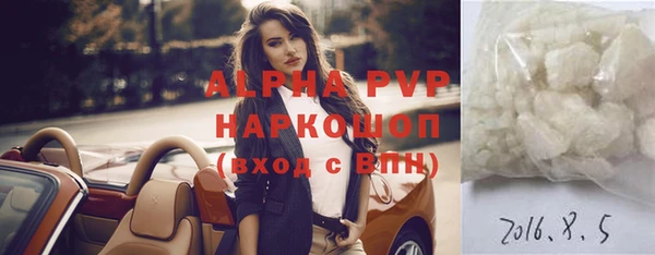 сатива Осташков