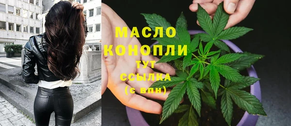 сатива Осташков
