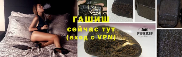 сатива Осташков