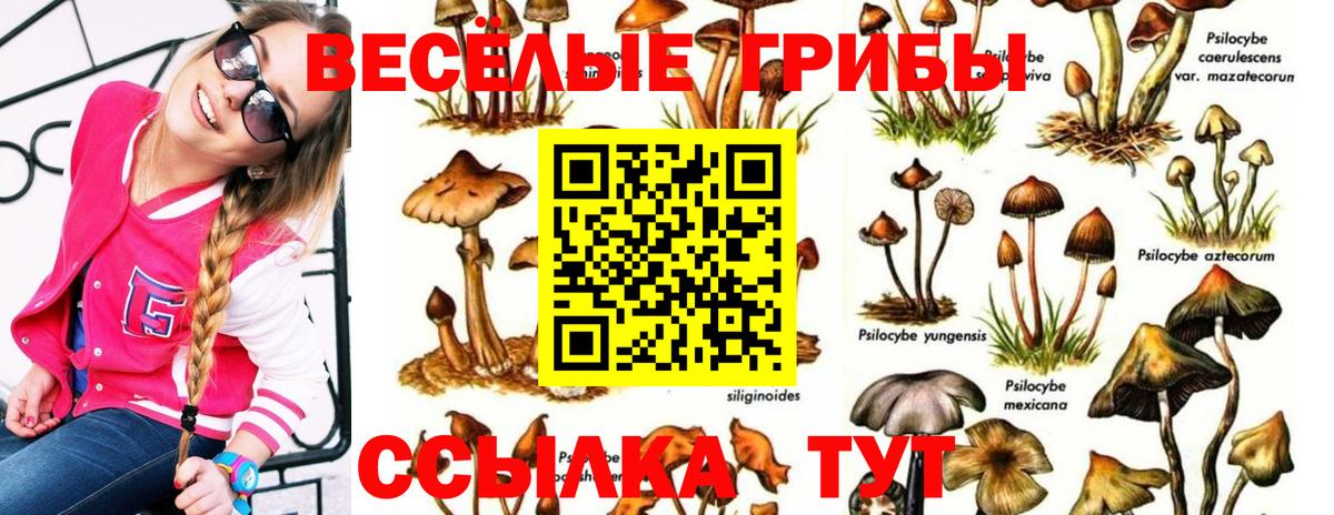 Галлюциногенные грибы MAGIC MUSHROOMS  Галлюциногенные грибы мухоморы  Вход с VPN  Сокол 